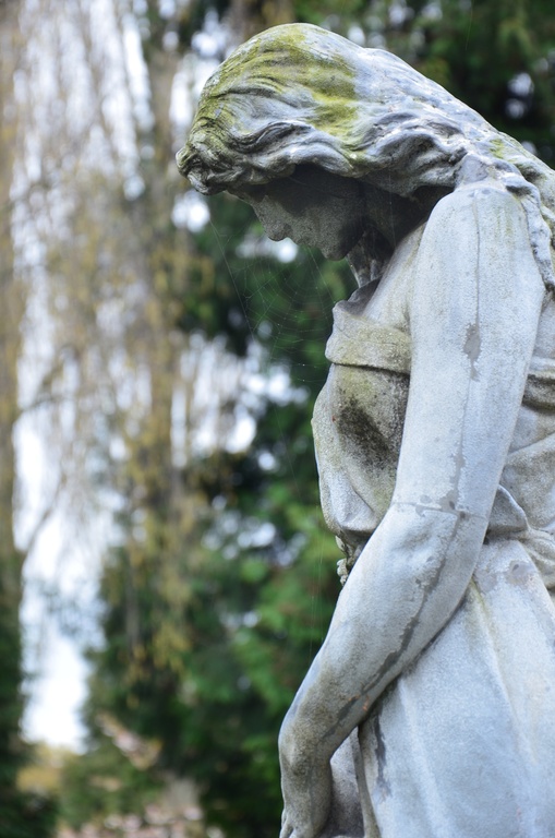 2017-04 Copenhagen/Assistens Kirkegård/DSC_0089.JPG